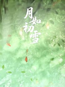 月如初雪