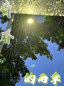 TOP登陆少年组合：青春的雨季