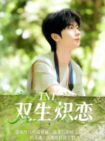 TNT：双生炽恋
