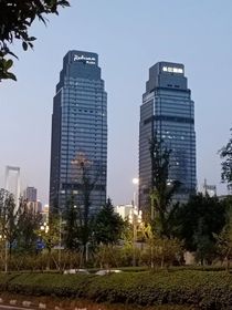 金絲雀，別離開我