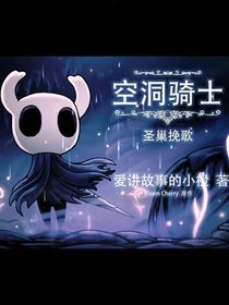 空洞騎士1：圣巢挽歌