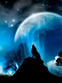 狼王梦续写之暗魔啸月