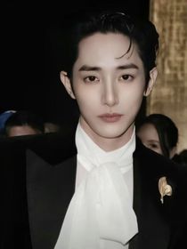 星夜守护者：总裁明星的魔法助理