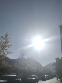 霸道总裁和他的小娇妻（穿越版）