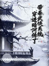 带着武侠系统穿进暗河传了