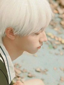 朱志鑫：不敢回看