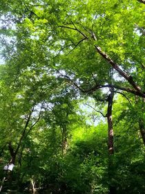 如果我們早一點相遇就好了……