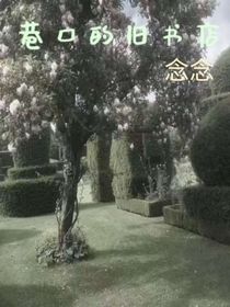 巷口旧书店