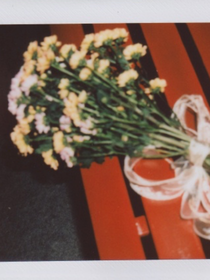 书籍素材收纳库