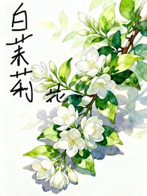 白茉莉花