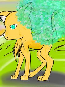 貓武士之西風(fēng)小傳