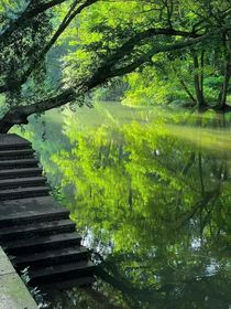 源轩：青衿拾光