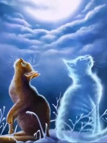 新的族群：引子