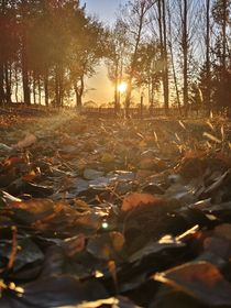 回到最初时-d921