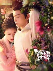 传闻中的陈芊芊（自创版）