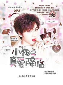 TF四代：小狗之真爱降临