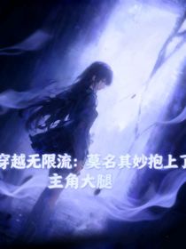 穿越无限流：莫名其妙抱上了主角大腿