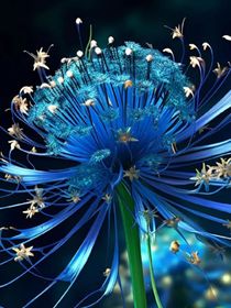 特种兵利刃出鞘之星辰大海月涌江流