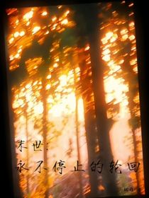 末世：永不停止的轮回