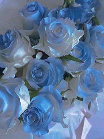 综：受欢迎的莉莉香小姐