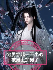 宅男穿越一不小心被男上加男了
