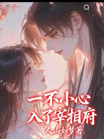 一不小心入了宰相府