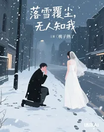 落雪覆尘，无人知我
