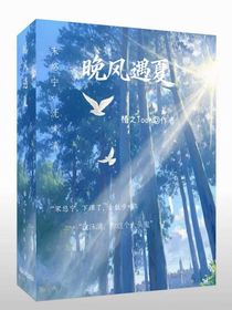 晚风遇夏