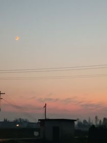 恋综：我服了你们