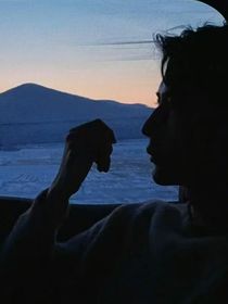 鱼儿的改写人生