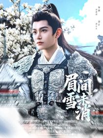 山河枕：眉间雪未消