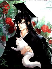 当我不小心穿成踏仙君