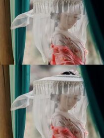 暗河传：绯桃灼灼