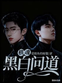 棋魂：黑白问道