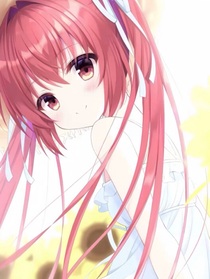 美妙天堂：星光共舞