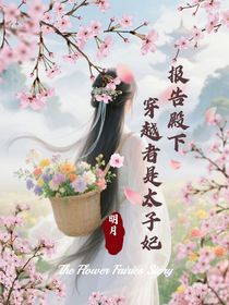 报告殿下：穿越者是太子妃