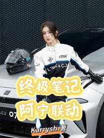 终极笔记阿宁联动