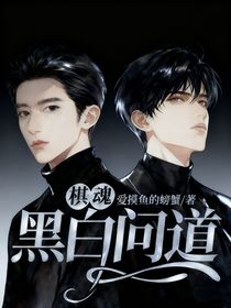 棋魂：黑白問道