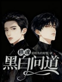 棋魂：黑白問道