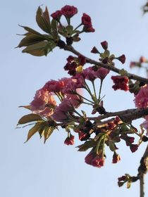 听懂谁的孤语-d832