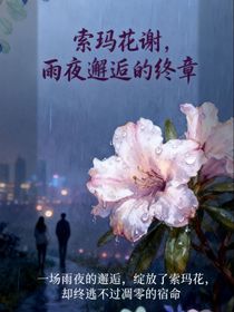索玛花谢，雨夜邂逅的终章