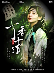 综影视：丁香结