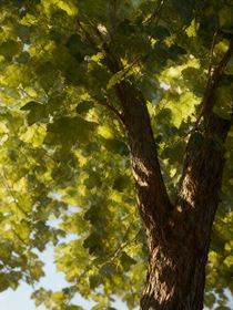 写着玩的哈，图个乐子