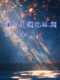 谁知星澜忆沐朝