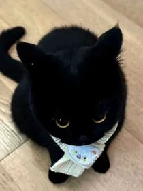 书名正在修改1762223998070053821