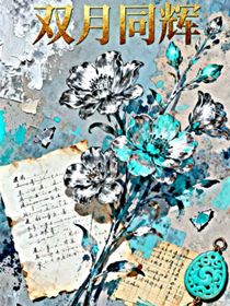 双月同辉