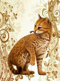 新的族群：第四章