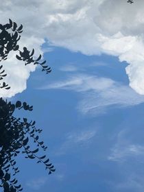 假如世界上有后悔药