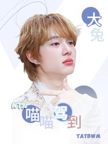 海景：喵喵驾到