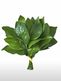 快穿之逆袭女主